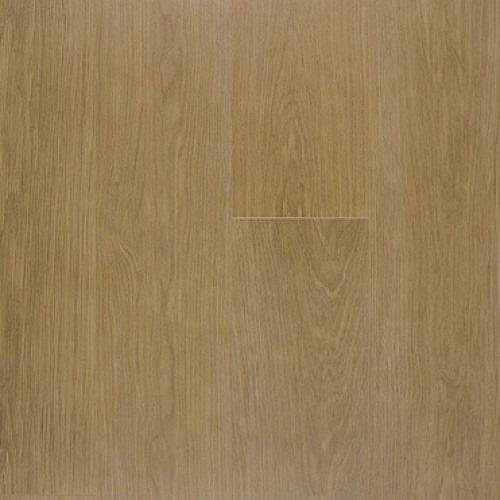 eik-natuurvernist-lpu-1284.jpg eik-natuurvernist-lpu-1284.jpg