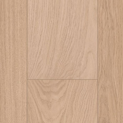 eik-witvernist-im3105-5.jpg eik-witvernist-im3105-5.jpg