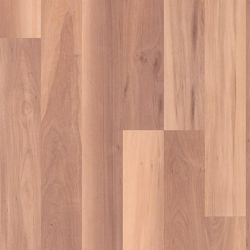 quick-step-creo-adams-appelboom-1.jpg quick-step-creo-adams-appelboom-1.jpg
